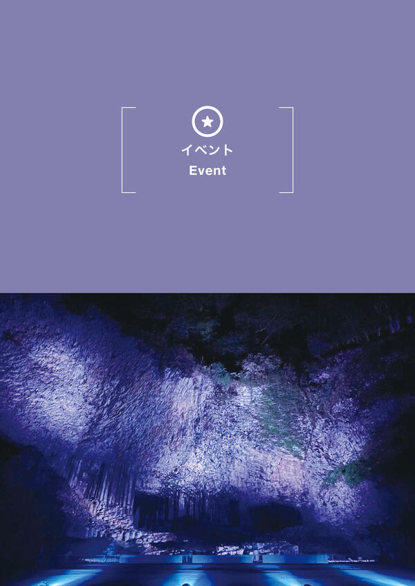 玄武洞公園ライトアップ